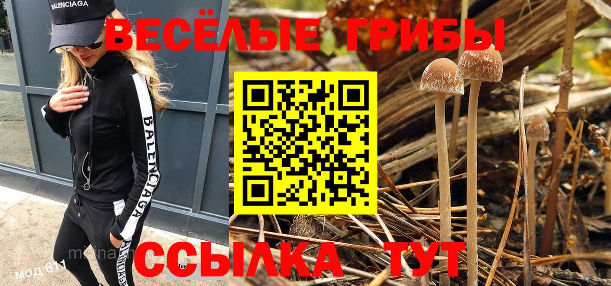 Красноуфимск  хочу наркоту  Вход с VPN  Галлюциногенные грибы мухоморы 